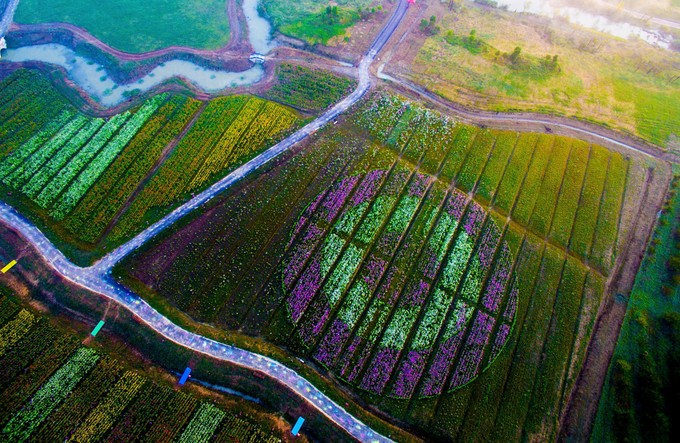 航拍桃溪花海