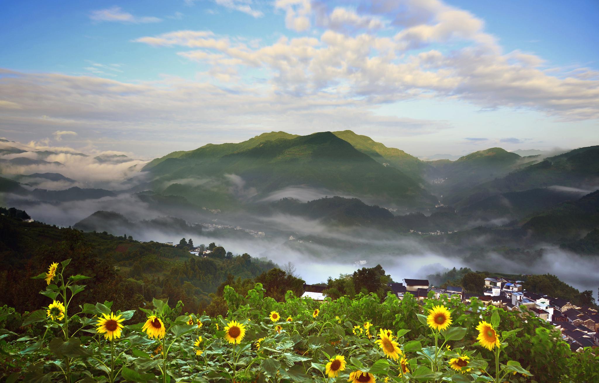2017年安徽避暑旅游目的地认定结果揭晓 全省