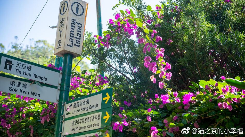 南丫島 繁華香港背后的安靜之地