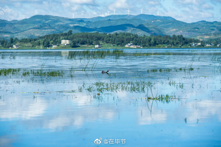 威宁县有多少人口_贵州面积最大人口最多的县,人口数量居贵州各县之首,你知(3)