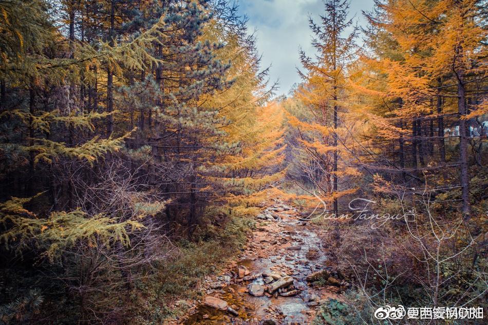 秦嶺的秋天