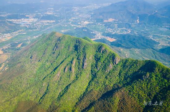 #不负春光#待岭上开满,平天堂山顶还要一周,古道入口的山坡却意外开满杜鹃