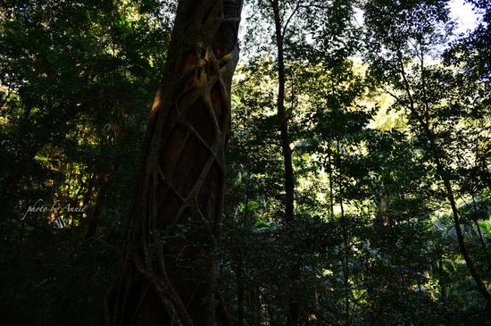 去世界第一大沙岛,探索每一粒沙子的奇迹,首款超级详细攻略出炉,快来pick