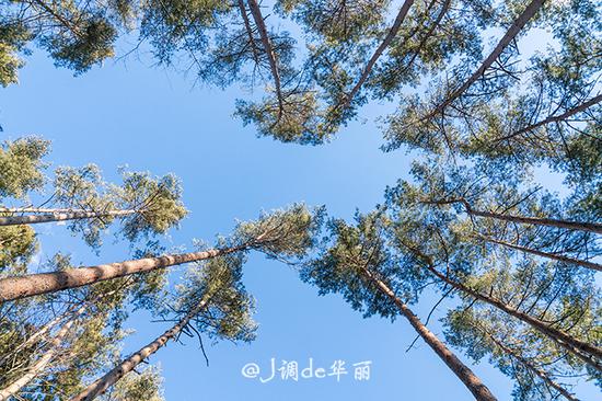 【日本】青空一朵玉芙蓉,看尽富士山风云变幻的三大绝景地