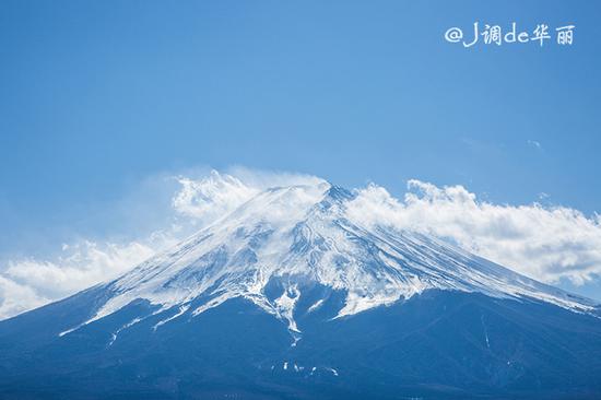 お得セット 富士山 狩野守暉 絵画/タペストリ - virgoacp.com