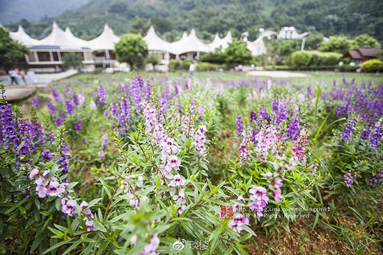 谁说雄壮、刺激、浪漫、神圣不可兼得?这个地方绝对令人意外!