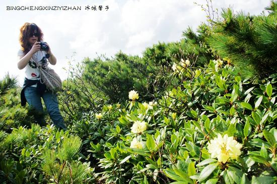 五月,龙江大地上哪里的杜鹃花最迷人?(附赏花攻略)
