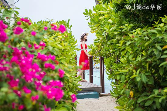 【<a href='http://travel.sina.com.cn/maerdaifu-lvyou/?from=b-keyword' target='_blank'>马尔代夫</a>】四季库达岛:小而美的<a href='http://travel.sina.com.cn/maerdaifu-lvyou/?from=b-keyword' target='_blank'>马尔代夫</a>风情后花园