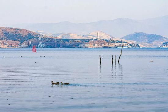 在《心花路放》取景地,体验白族生活,欣赏绝美湿地,寻找诗和远方