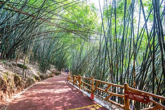 <a href='http://travel.sina.com.cn/sichuan-lvyou/?from=b-keyword' target='_blank'>四川</a>的大山里有个“清凉秘境”,峭壁上竟藏着7个神秘的石洞