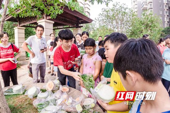 长沙理工大学菜菜农业实践团队带领小学生开展了“小小菜农”爱心义卖活动。