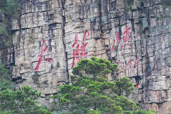 这个森林城市有一扇“天下第一门”,门后藏着一个“小西双版纳”