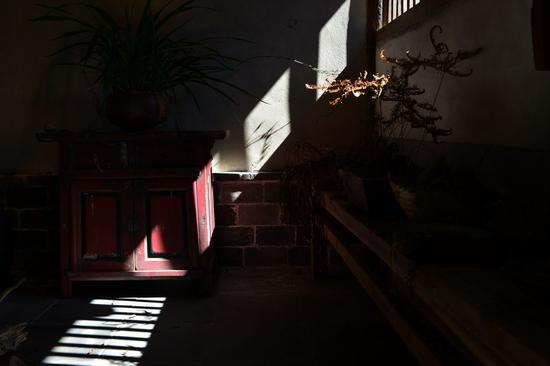 【原创】回归自然与心灵的原初;访闽南塔下青普