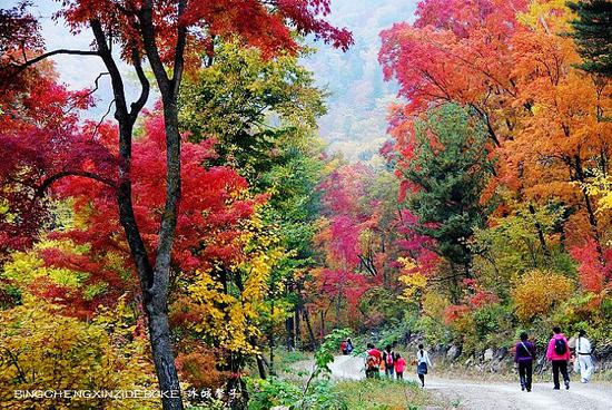 横头山吊水壶