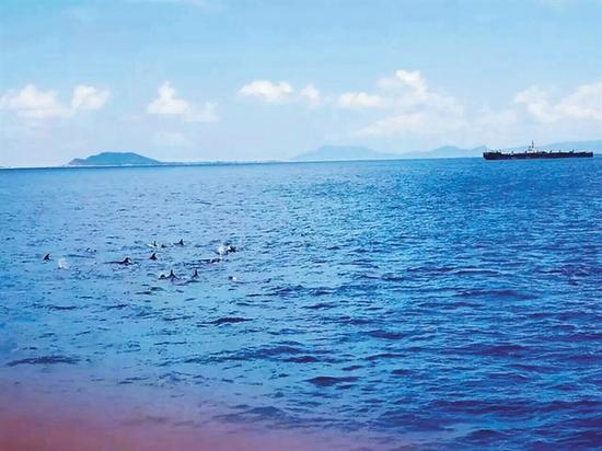 贵阳到三亚汽车时刻表\/客车查询\/大巴班次