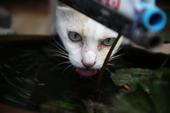 当我发现曼谷普吉清迈已经生无可恋时,我选择