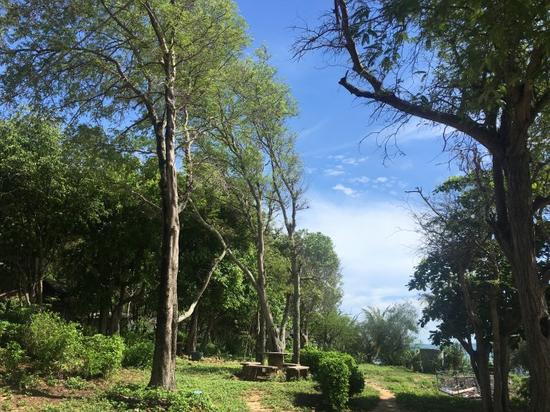 当我发现曼谷普吉清迈已经生无可恋时,我选择