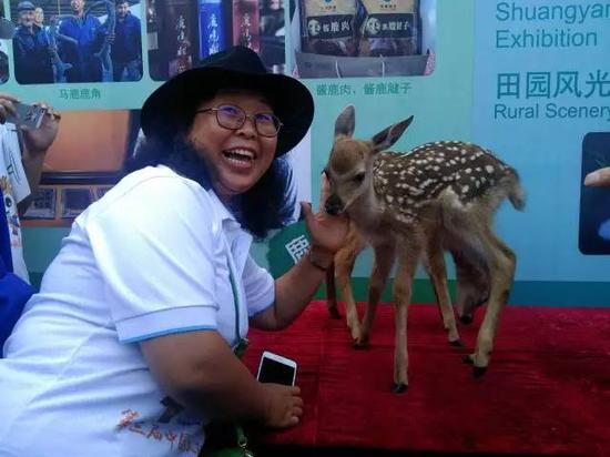 第三届中国双阳梅花鹿节 微博达人行完美收官