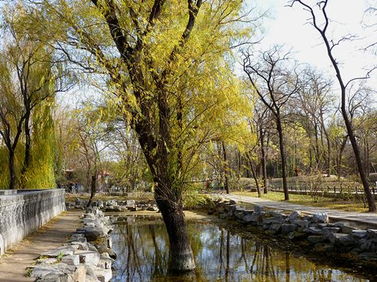 【圆明园】沧桑逝去后的万园之园