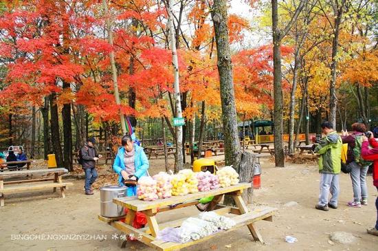 黑龙江国庆赏秋奇观:五常凤凰山金秋披雪衣