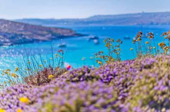 【马耳他】蓝洞、蓝窗、蓝泻湖:邂逅地中海的