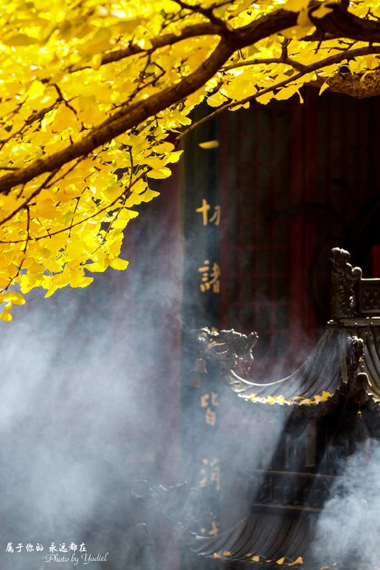 【京郊自驾】秋意正浓的千年古刹红螺寺 【京郊自驾】秋意正浓的千年古刹红螺寺