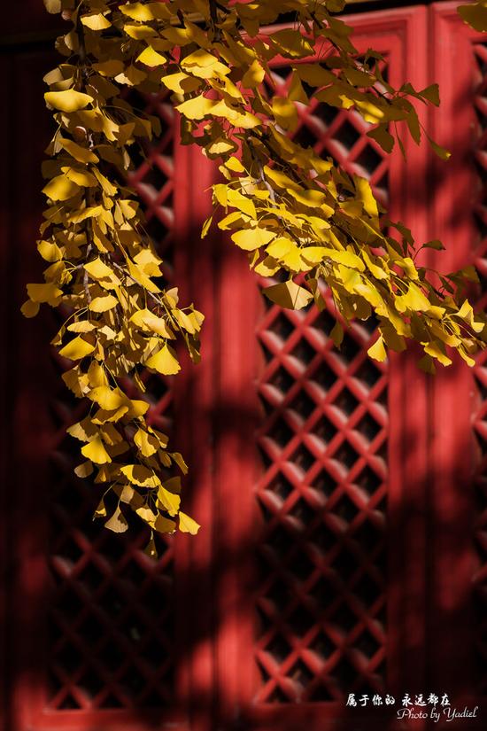 【京郊自驾】秋意正浓的千年古刹红螺寺 【京郊自驾】秋意正浓的千年古刹红螺寺