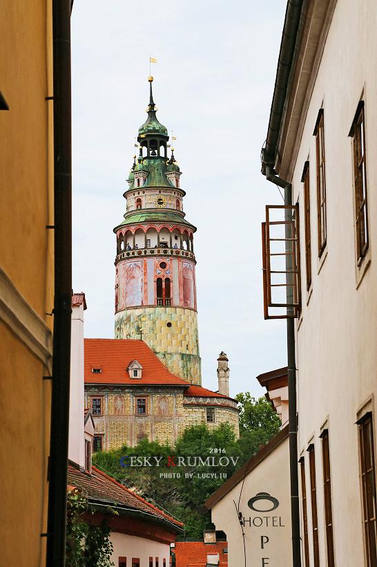 ���ݿˡ���³ķ��������������͵�ͯ��С��