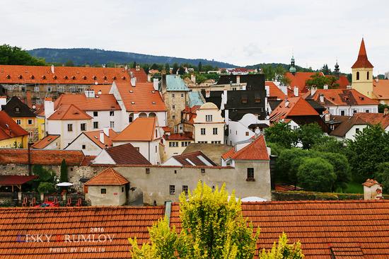 ���ݿˡ���³ķ��������������͵�ͯ��С��