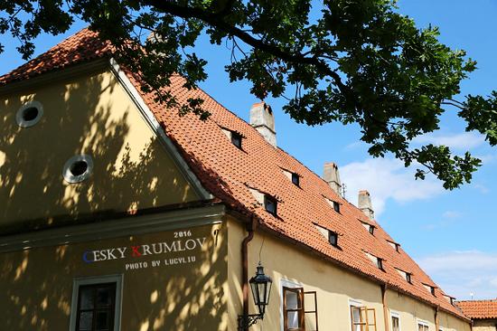 ���ݿˡ���³ķ��������������͵�ͯ��С��