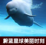 【玩'美'蜜月】傳奇航母，海上城市鈥斺斒サ.中途島航母