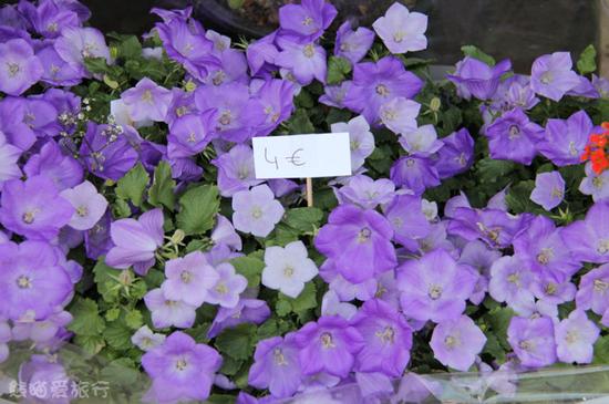 【熊猫爱旅行】和闺蜜一起感受Rambla的花样心情—— <wbr>巴塞罗那.兰布拉斯大街 【熊猫爱旅行】和闺蜜一起感受Rambla的花样心情—— <wbr>巴塞罗那.兰布拉斯大街
