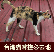 【玩'美'蜜月】傳奇航母，海上城市鈥斺斒サ.中途島航母