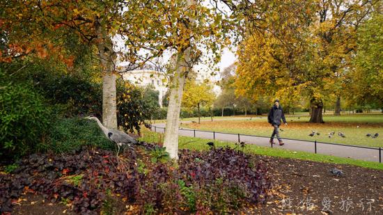【英国伦敦】这个秋天我在伦敦泡皇家公园喂松鼠