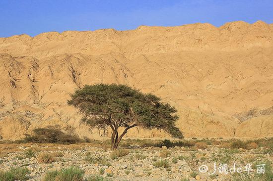【以色列】死海：聆听沙漠与海的旷世传奇