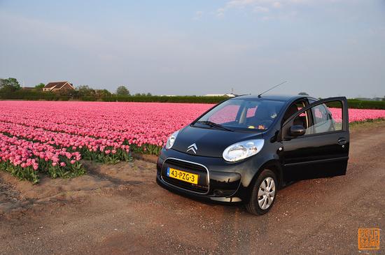 自驾荷兰，一起看春天盛放