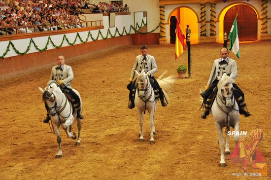 【赫雷斯】西班牙的马儿会跳舞