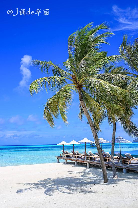 【马尔代夫】可以吃遍全世界美食的LUX岛