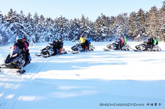来一场风花雪月的约会--黑龙江雾凇十大醉美观