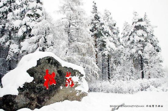 中国最北的冬天，大兴安岭极致冰雪七大诱惑之旅