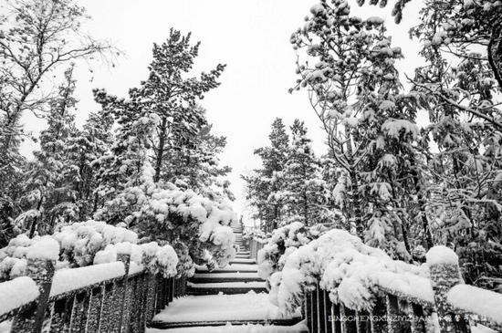 中国最北的冬天，大兴安岭极致冰雪七大诱惑之旅