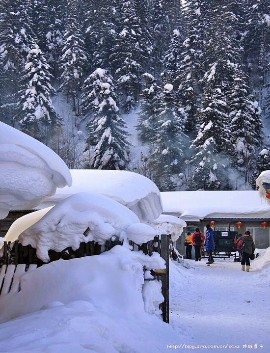 有一种雪，叫只有去过雪乡才懂得