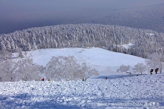 有一种雪，叫只有去过雪乡才懂得