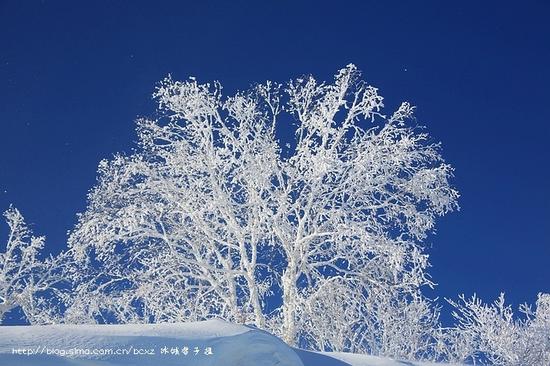 有一种雪，叫只有去过雪乡才懂得