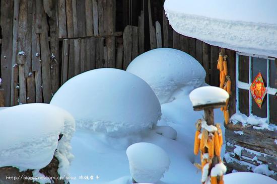 有一种雪，叫只有去过雪乡才懂得