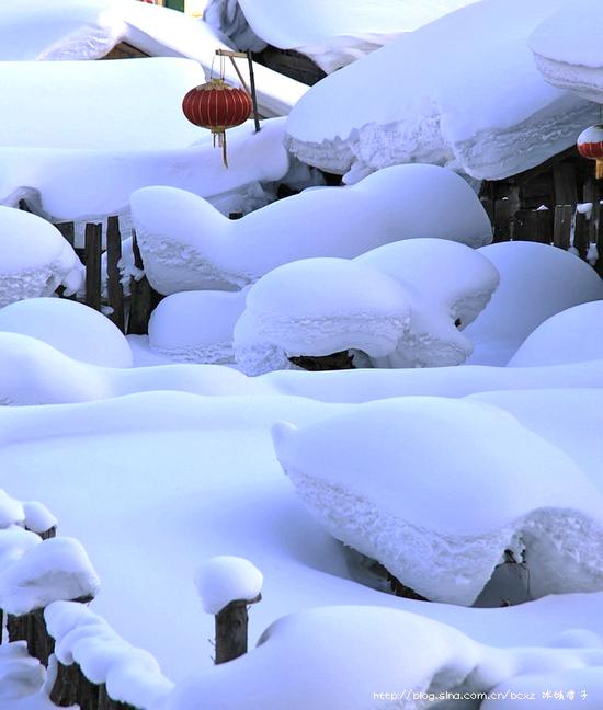 有一种雪，叫只有去过雪乡才懂得