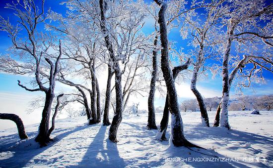 有一种雪，叫只有去过雪乡才懂得