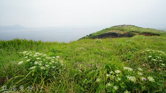 【夏日济州】济州岛牛岛，抒情诗般的韩式小清新！