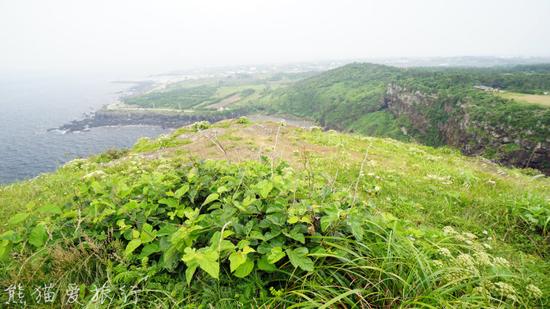 【夏日济州】济州岛牛岛，抒情诗般的韩式小清新！