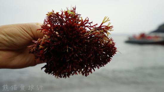 【夏日济州】济州岛牛岛，抒情诗般的韩式小清新！